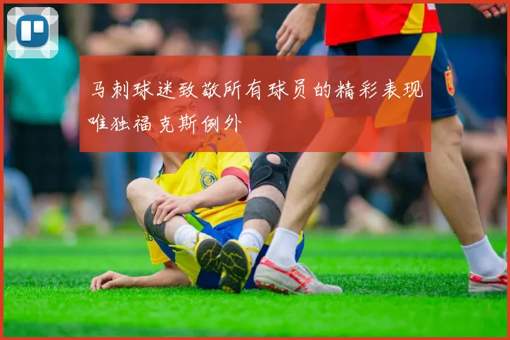 马刺球迷致敬所有球员的精彩表现唯独福克斯例外