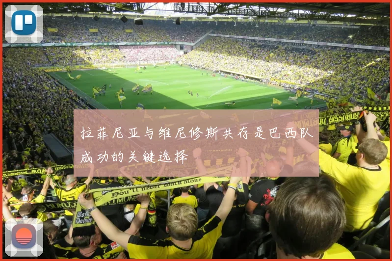 拉菲尼亚与维尼修斯共存是巴西队成功的关键选择